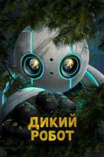 Жабайы Робот